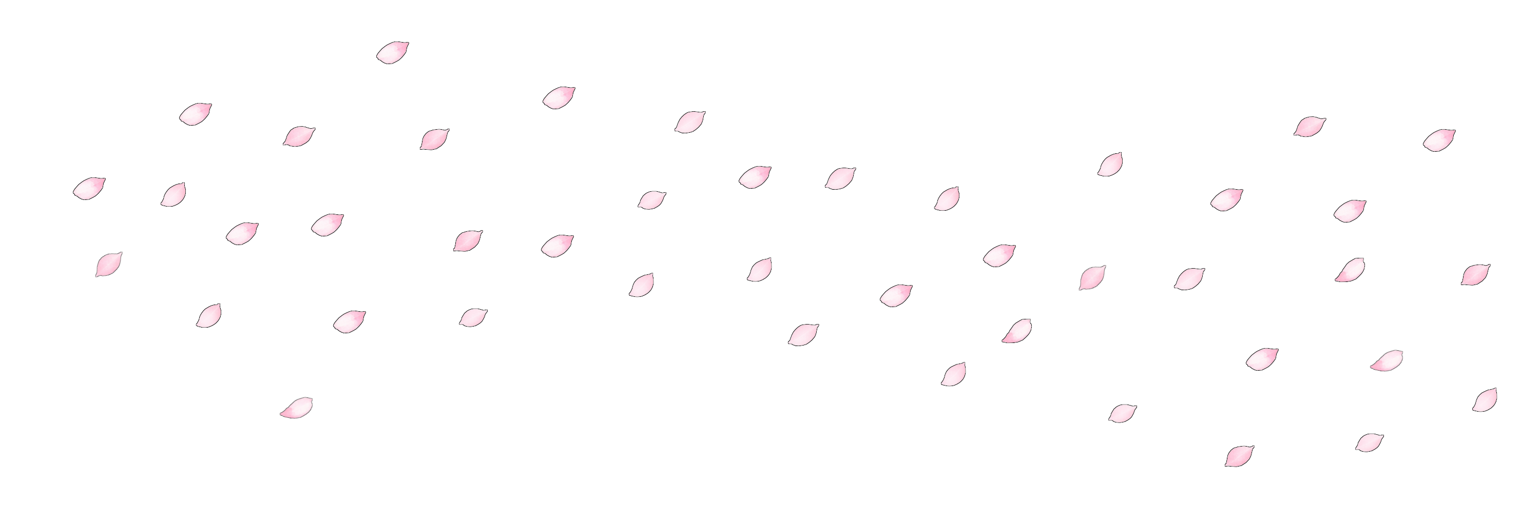 an unlabeled image