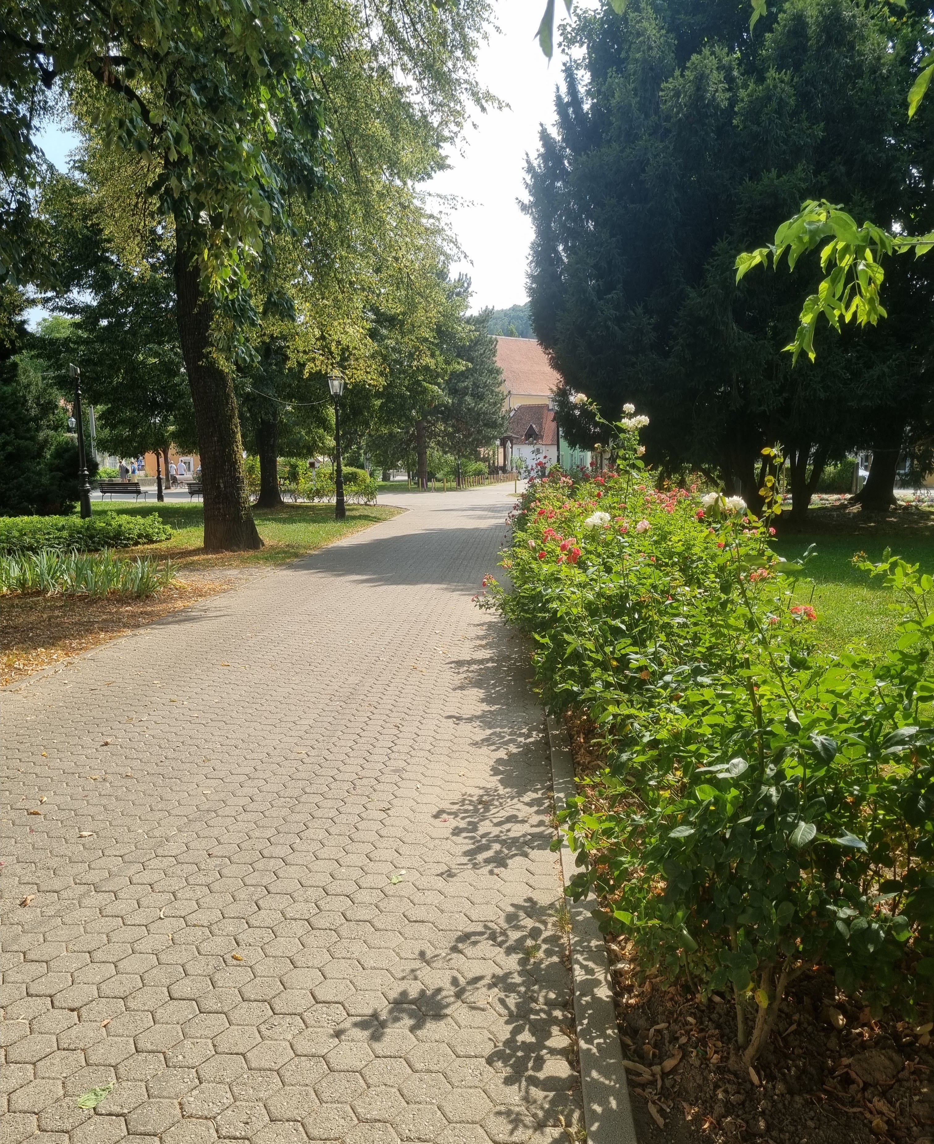 20240718_155041.jpg