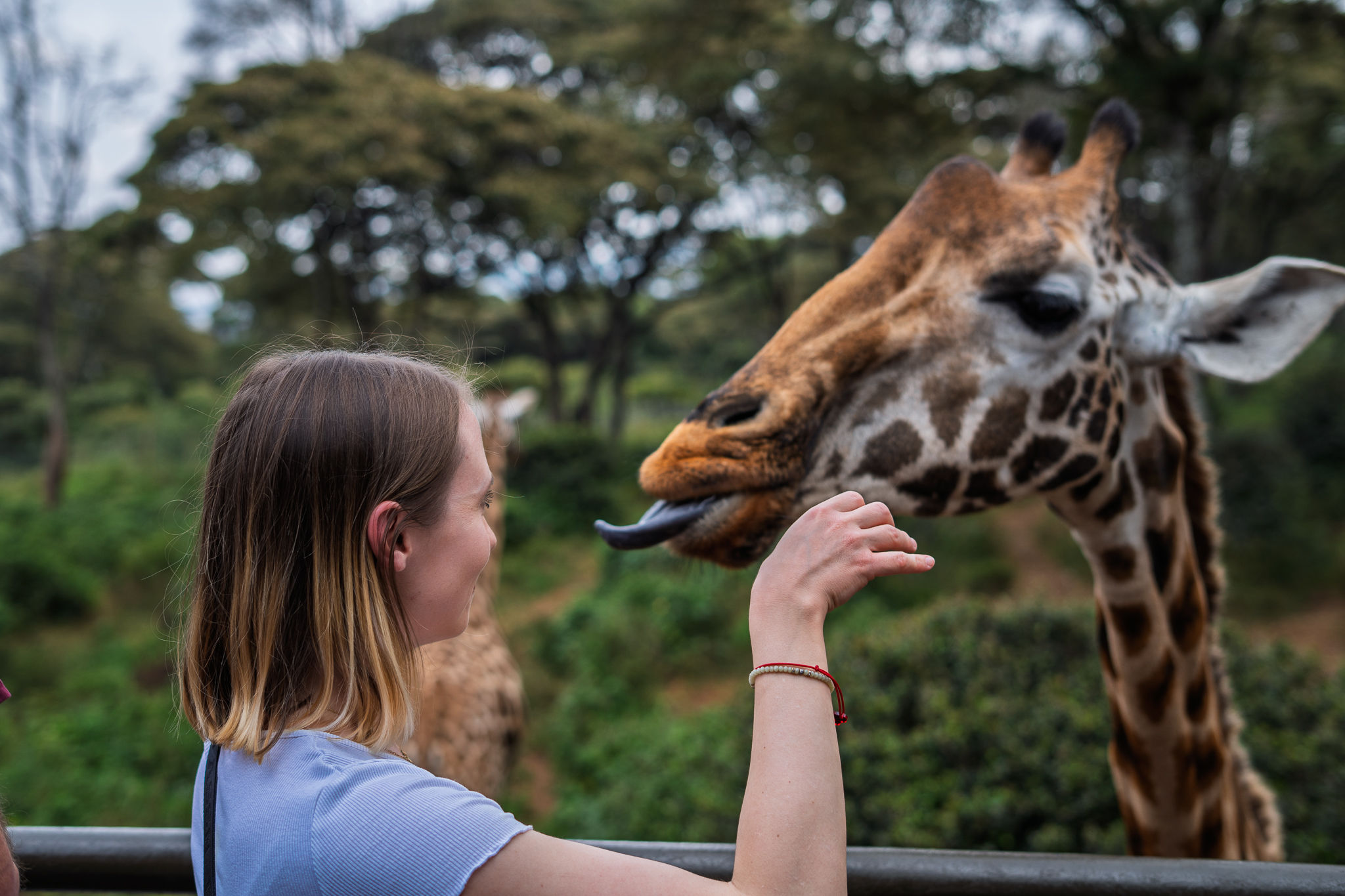 Me with Giraffe