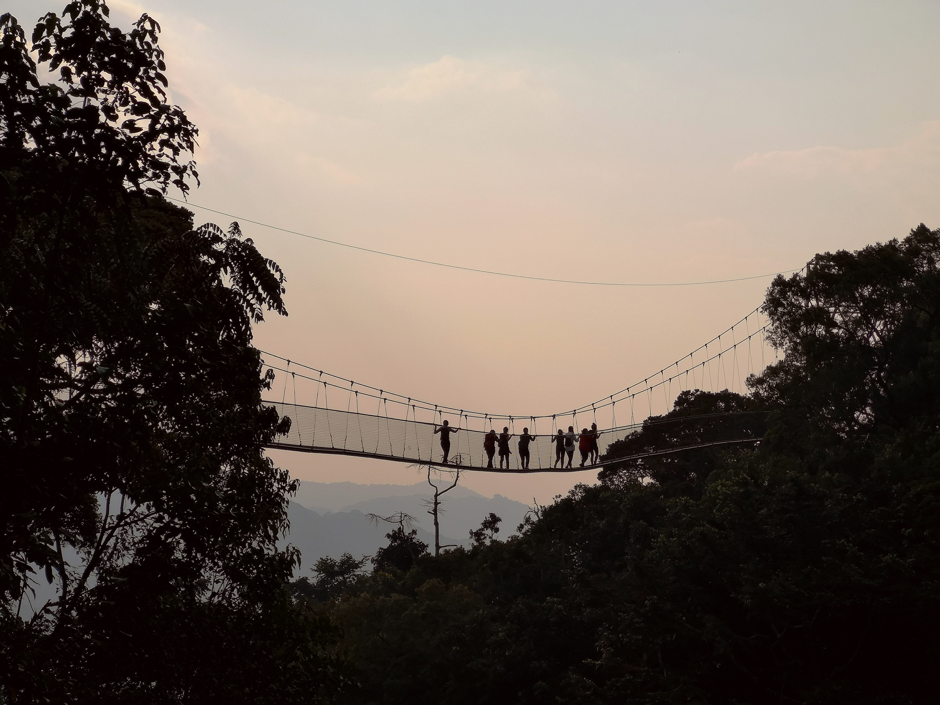 IMG_20190810_173033.jpg