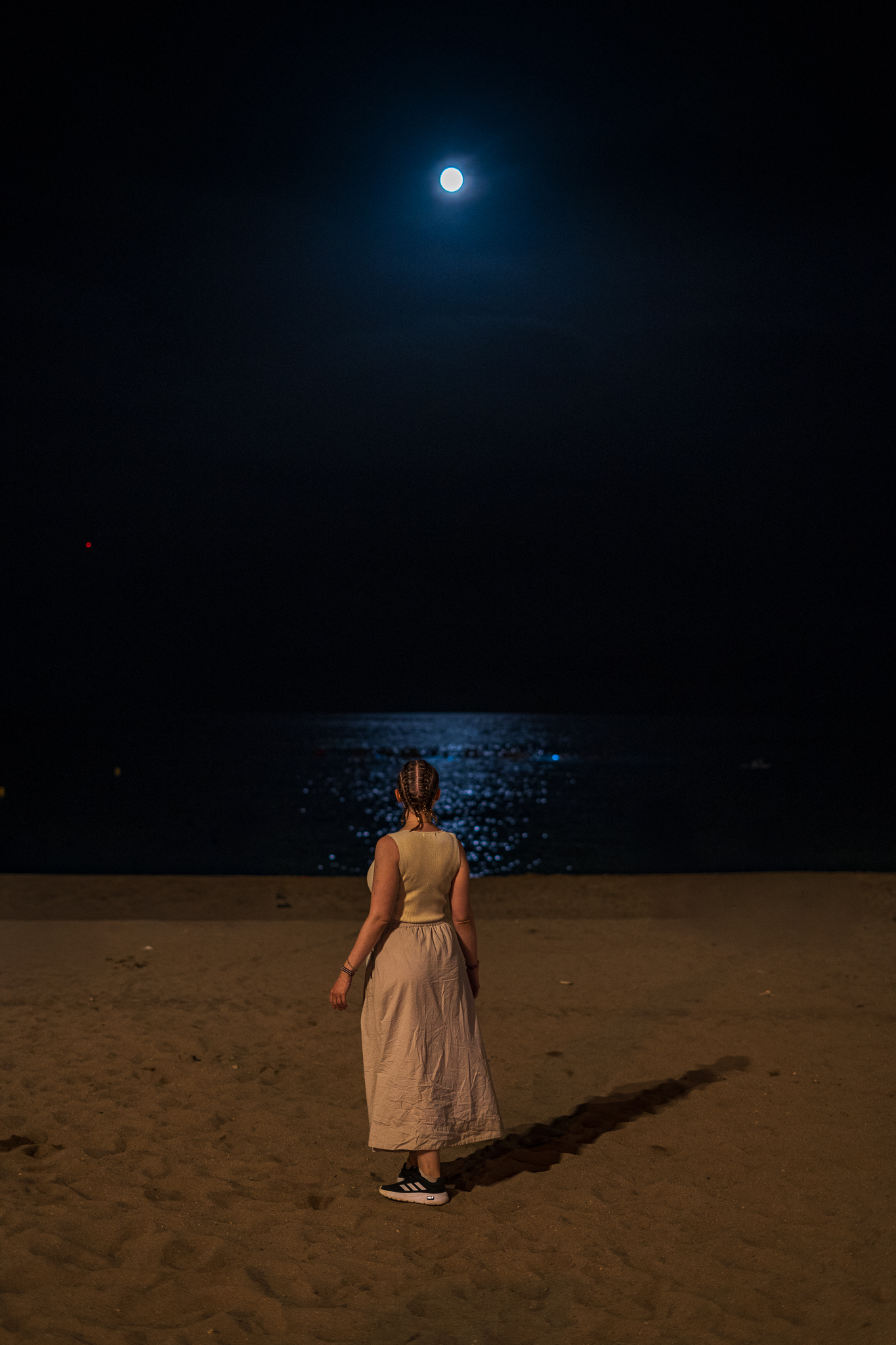 an unlabeled image