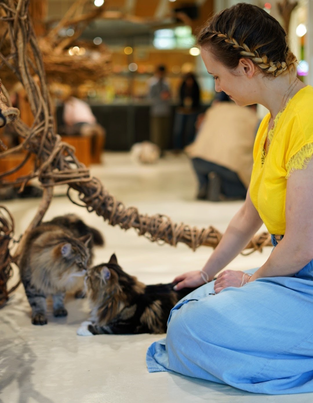beti-with-cats.JPG