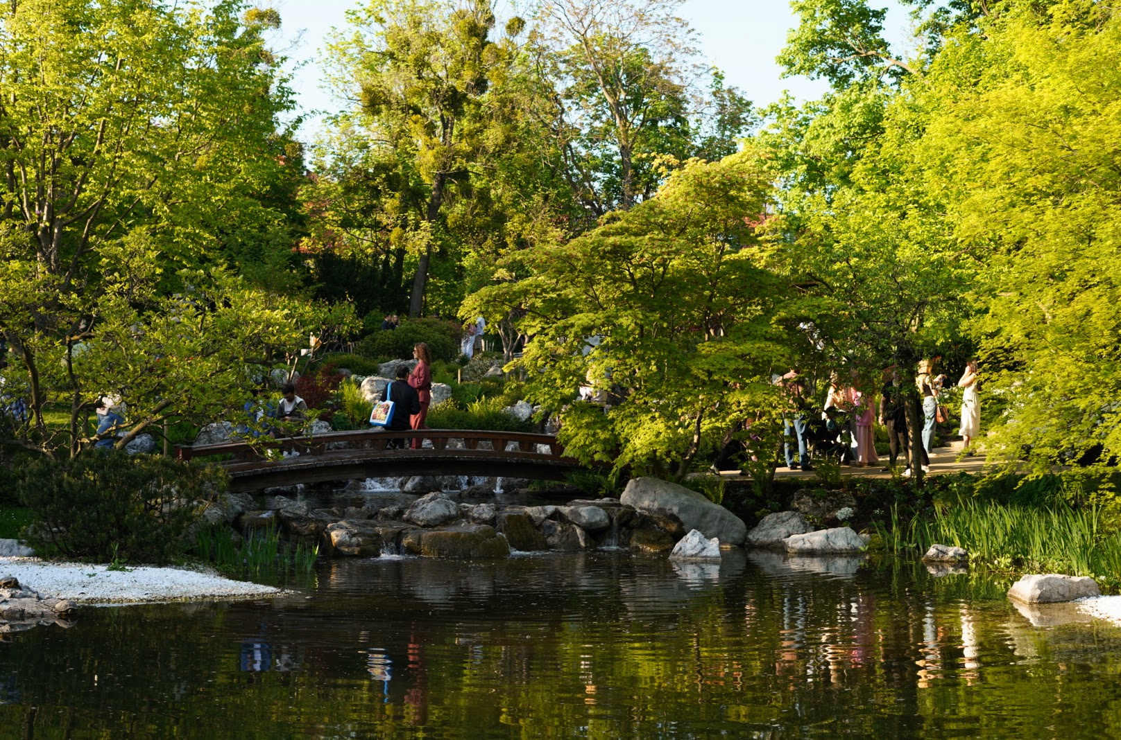 DSC02177.JPG
