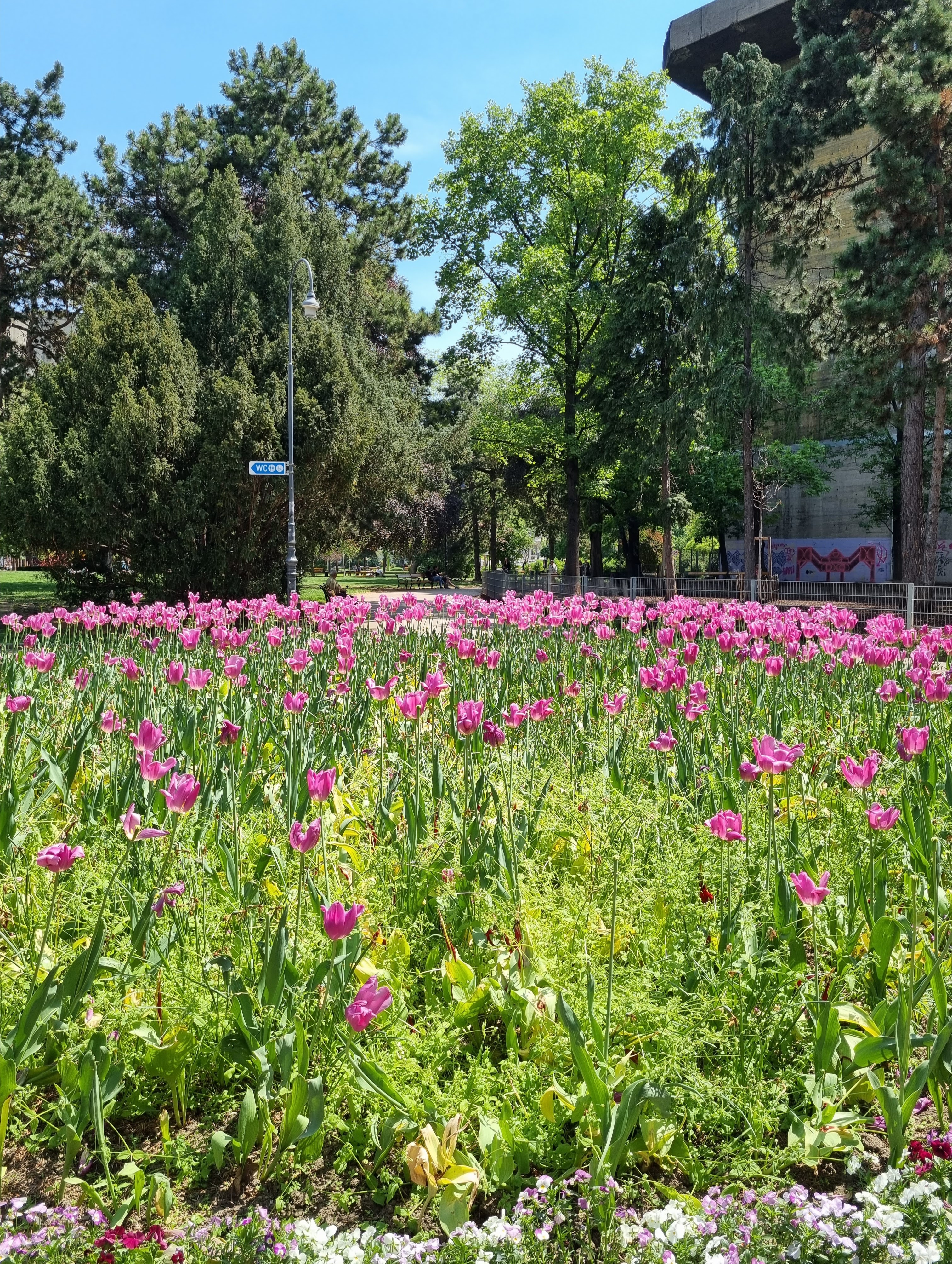 20220511_125154.jpg