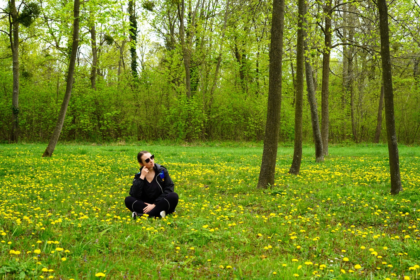 DSC01689~2.JPG
